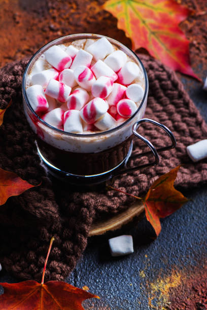 cioccolata alla menta calda con marshmallow e sciroppo di lampone - peppermint candy stick striped foto e immagini stock