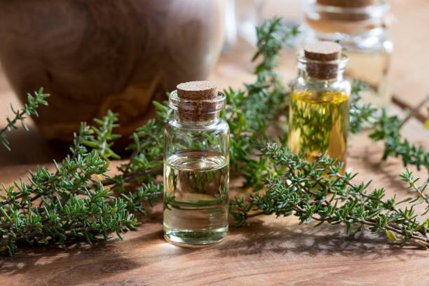 istock A bottle of thyme essential oil 857777734
