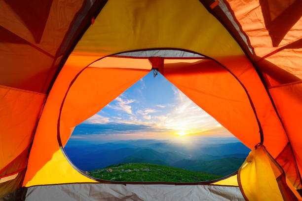 istock Enjoy the freedom of nature 857778290