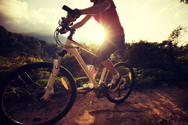 istock woman cyclist cycling on summer forest trail 857778312