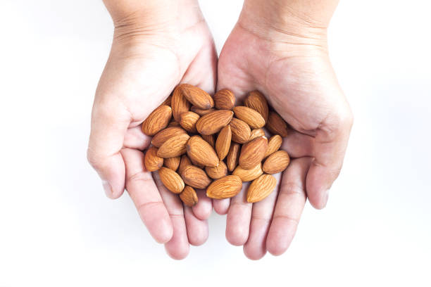 istock Almond seeds in hand woman 857781568