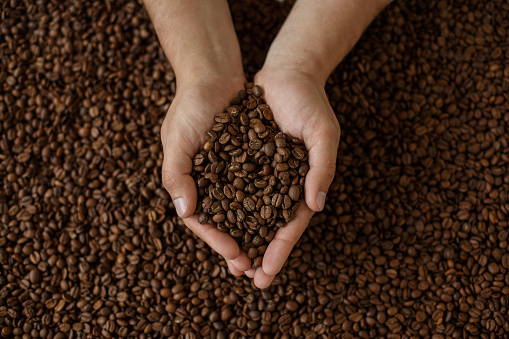 Food and Drink, Raw Coffee Bean, Human Hand, Top View