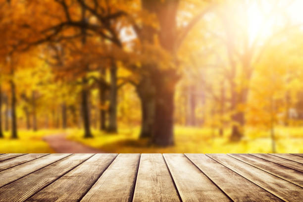 istock Old wooden desk top with golden leaves 857782018