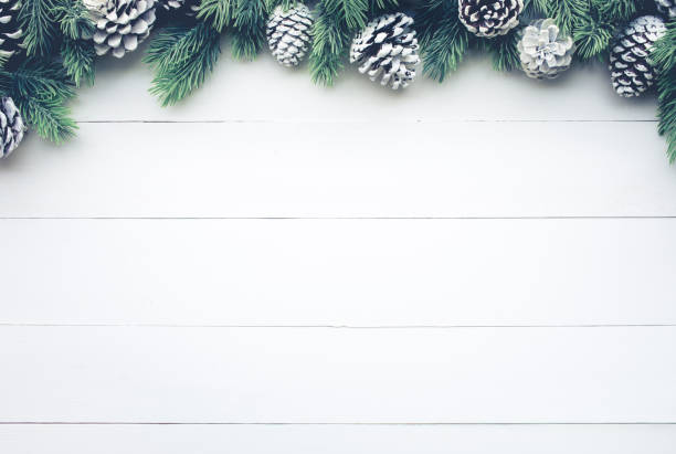 christmas fir tree with pine branch decoration on white wood. - fir branch imagens e fotografias de stock