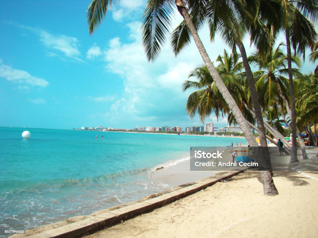 Maceio Beach landscape with coconut tree Beach landscape of Maceió - Alagoas - Brazil Maceio Stock Photo