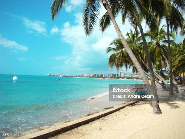 Maceio Beach Landscape With Coconut Tree Stock Photo - Download Image Now - Maceio, Alagoas, Beach