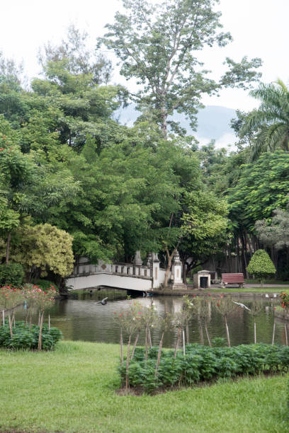 istock White Bridge Over Water in a Park 857794502
