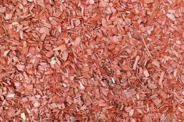 Pine sawdust and trimmings are impregnated with a red antiseptic. This is a standard lawn covering - so that weeds do not grow. Abstract background in nature concept