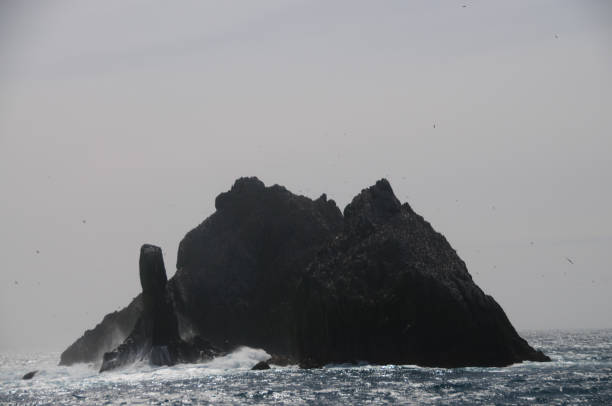 The Shag Rocks The Shag Rocks are six small, uninhabited, islands on the most western part of South Georgia. They are named after the South Georgian Imperial Shags, a sub-species of Comorants. wallis and futuna islands stock pictures, royalty-free photos & images