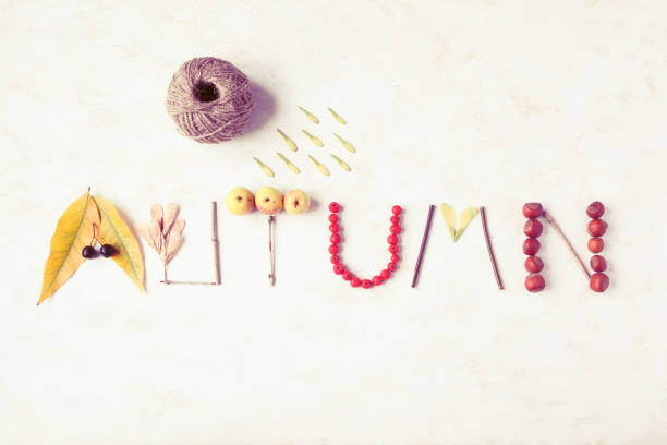 Word autumn written with leaves, apples, berries, tree sticks, nuts and maple leaf. Toned. Season concept.