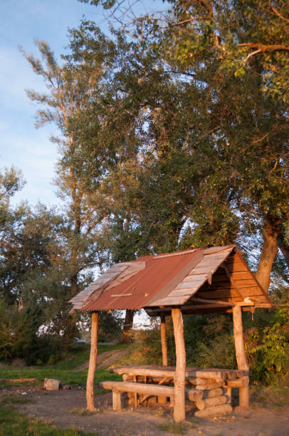 istock wood shelter in the forest at sunset 857814108
