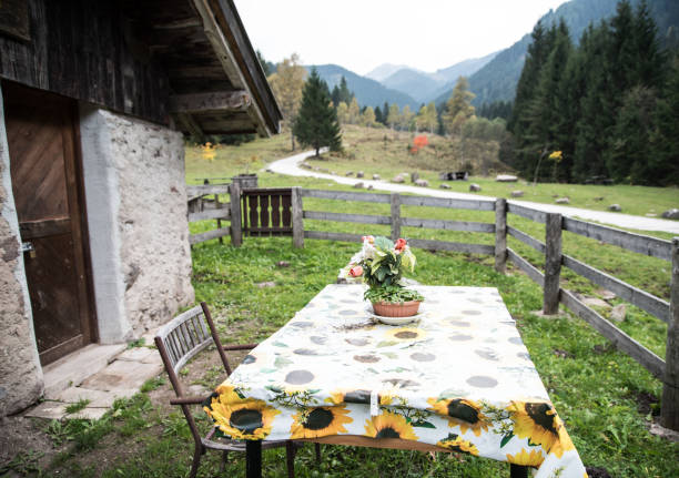 istock Idyllic landscape in the Alps 857816562
