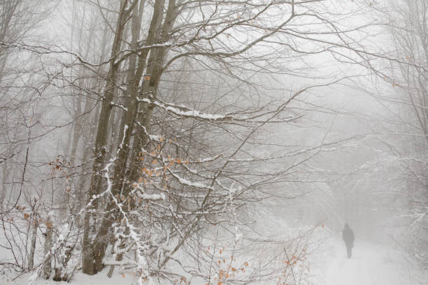 istock Young woman on a walk in winter nature 857824818