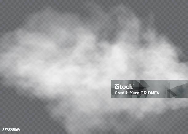 Fog Or Smoke Isolated Transparent Special Effect White Vector Cloudiness Mist Or Smog Background Vector Illustration Stock Illustration - Download Image Now