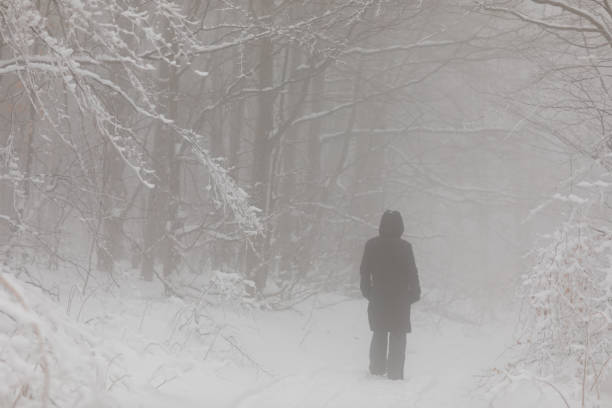 istock Young woman on a walk in winter nature 857832722