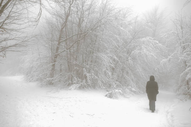 istock Young woman on a walk in winter nature 857838586