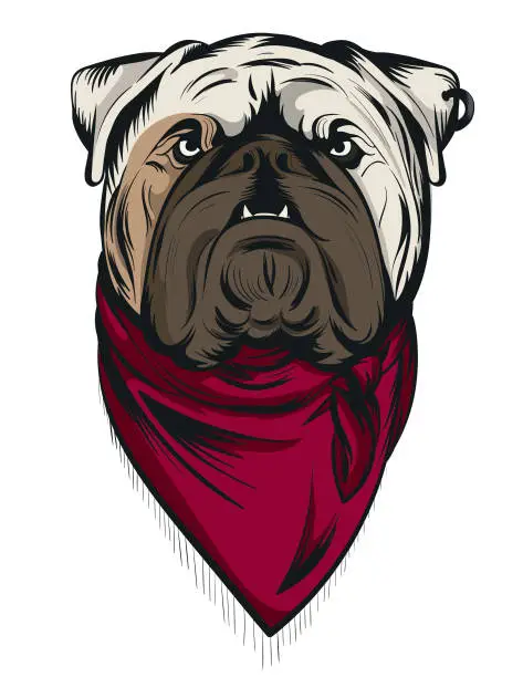 Vector illustration of English bulldog portrait opposite to British flagillustration. Can be used as emblem, sign, logo, print for t-shirt