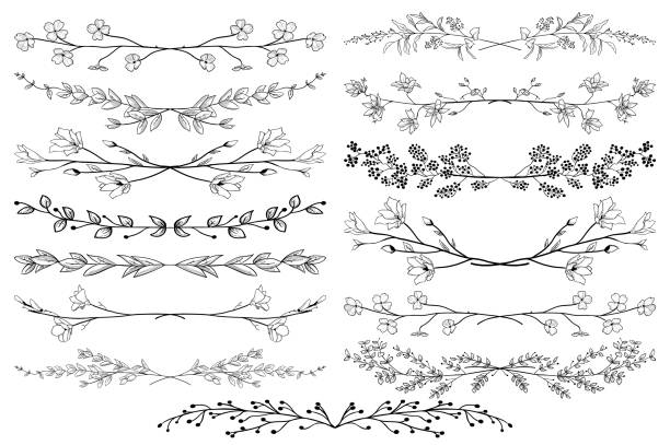 Black Hand Drawn Doodle Dividers, Line Borders with Branches, Herbs, Plants and Flowers. Decorative Outlined Vector Illustration. Floral Dividers Collections