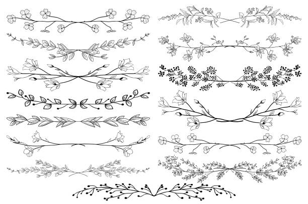 Vector Black Dividers with Branches, Plants and Flowers Black Hand Drawn Doodle Dividers, Line Borders with Branches, Herbs, Plants and Flowers. Decorative Outlined Vector Illustration. Floral Dividers Collections spring clipart stock illustrations