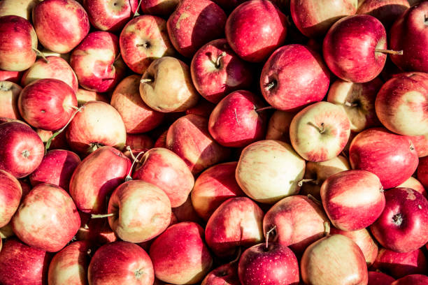 Close-up of apples
