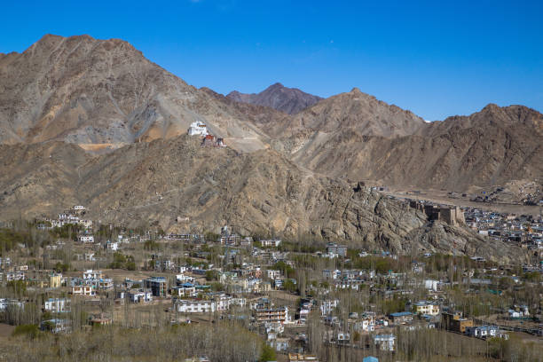 istock Namgyal Tsemo Gompa 857856602