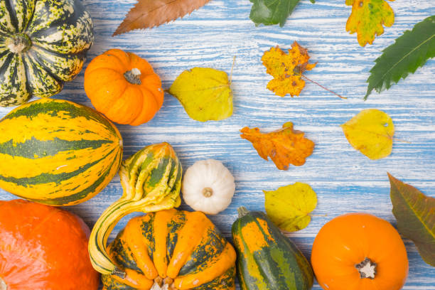 istock Pumpkin mix on blue wooden background 857857244