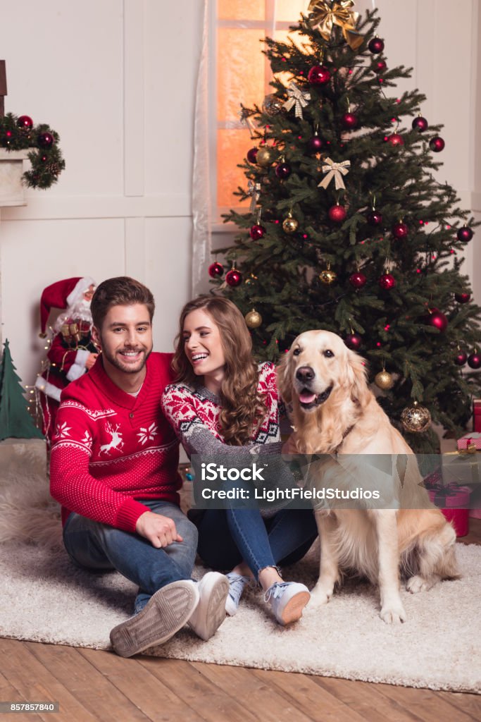 Pareja Con Perro En Navidad Foto de stock y más banco de imágenes de Navidad  - Navidad, Parejas, Perro - iStock