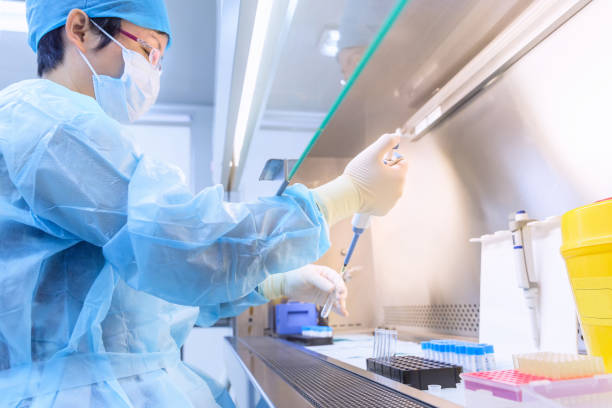 istock The scientist experimented in the laboratory 857860020