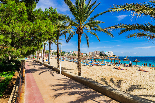 España Mallorca, playa, paseo marítimo con palmeras en Magaluf photo