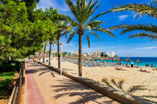 istock Spain Majorca, seafront beach with palm trees in Magaluf 857864680
