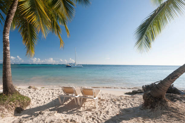 istock Tropical beach with palm trees, blue sky and white sand. 857865000