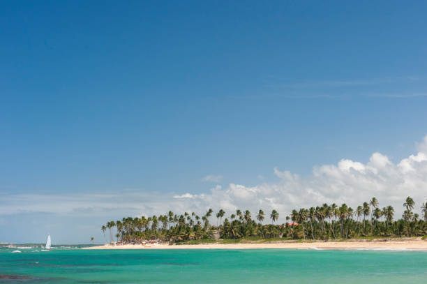 istock Tropical beach with palm trees, blue sky and white sand. 857865006