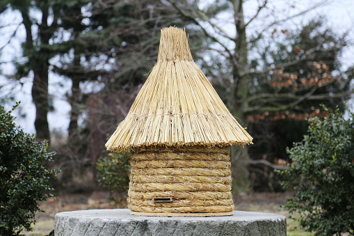 Old type beehive made of natural strew, used for beekeeping oldfashioned way, standing on a mill-stone.