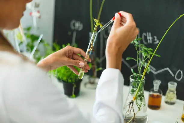 Photo of Biologist working in laboratory