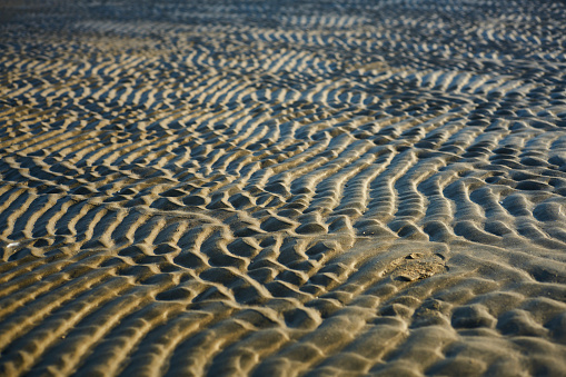 sand dune on beach