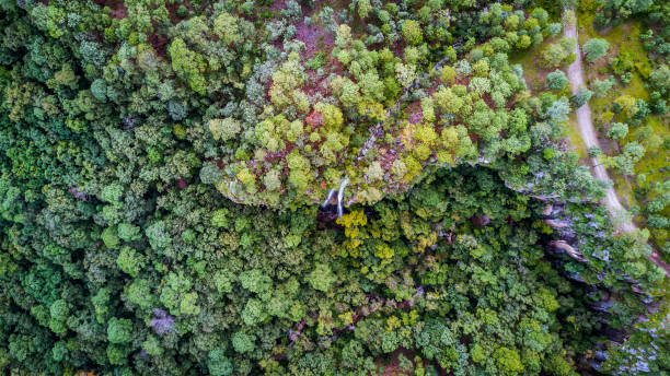 istock aerial of high waterfall in the forest 857880514