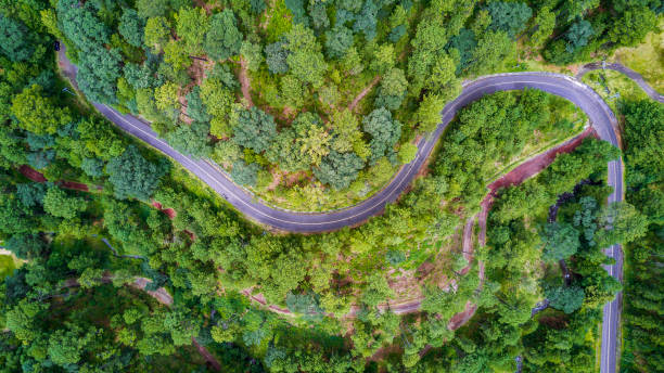 istock aerial of forest with road 857881860