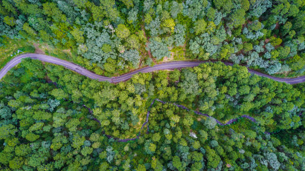 istock aerial of forest with road 857884214