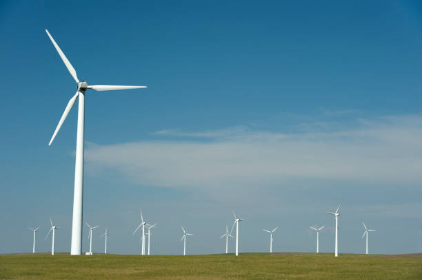 istock Wind Farm in a wheat field under a clear blue sky 857884560