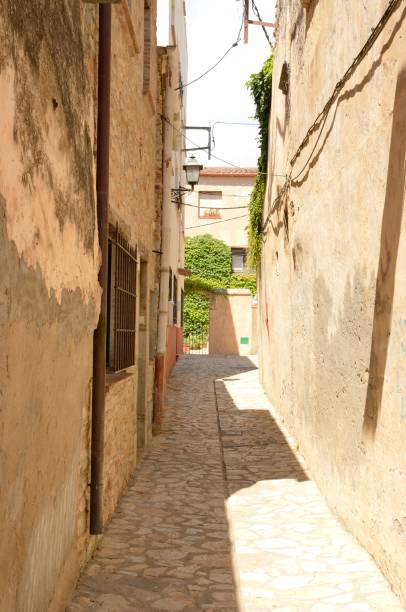 istock Narrow alley in Begur 857884776