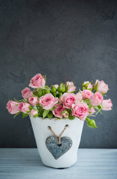 istock Pink roses in concrete pot 857891814