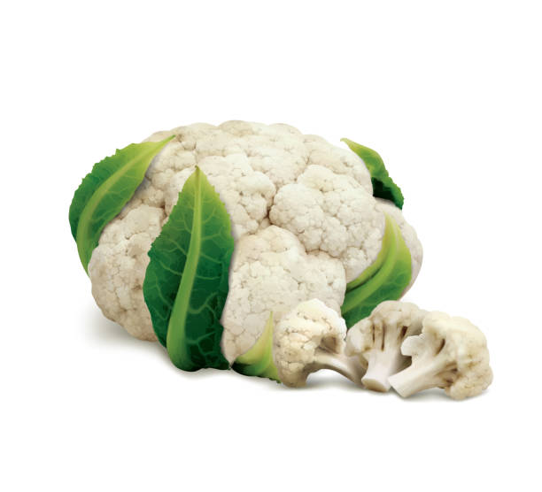 kalafior - cauliflower white backgrounds isolated stock illustrations