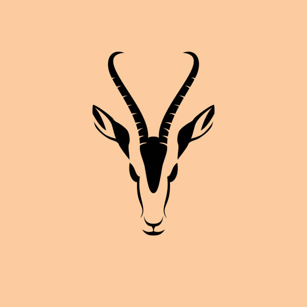 ilustrações de stock, clip art, desenhos animados e ícones de vector sign abstract head of african gazelle - gazelle