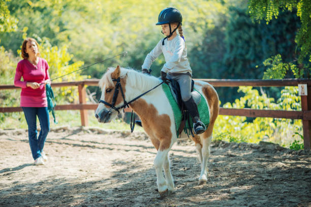 Teamwork with kids and horses in horseback riding school Kids with their pony horses on dressage. Kids with their personal trainer learn horseback riding. Great recreation for kids age 4 to 7, before they get on the big horses. pony photos stock pictures, royalty-free photos & images