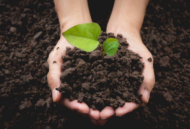 istock Human hands holding green small plant life concept.Ecology concept. 857896152