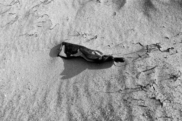 A small rock formation at Blyth in Northumberland