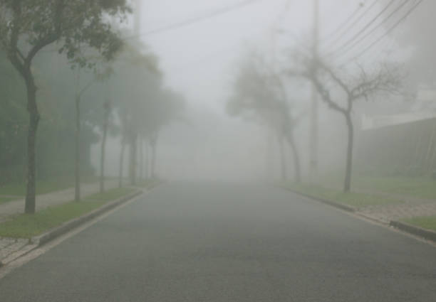 Empty street on a foggy morning