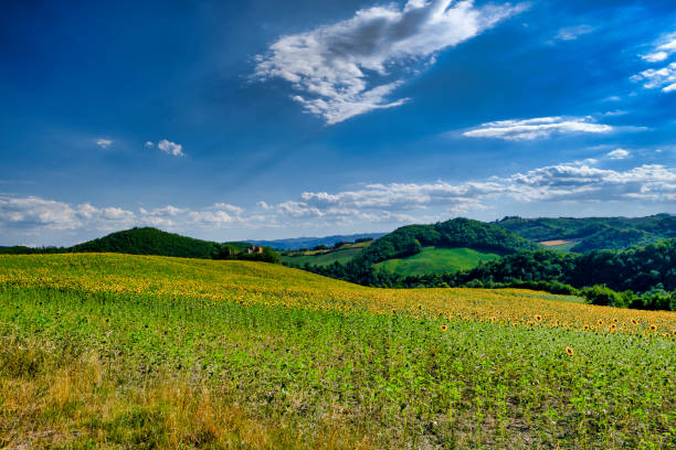 istock Landscape in Montefeltro near Urbania (Marches, Italy) 857901044