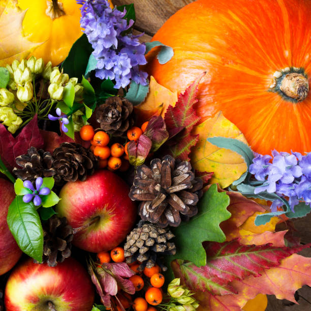 istock Ripe red apples and blue flowers, top view 857901552