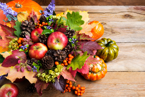 Thanksgiving or fall greeting with ripe apples, rowan berries, green seeds on the rustic background